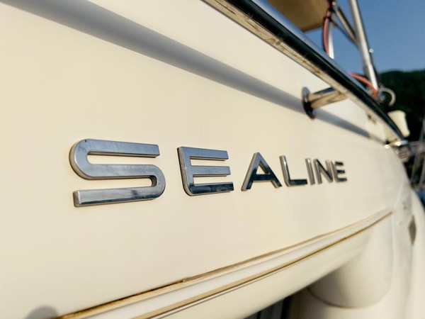 2009 SEALINE F42/5