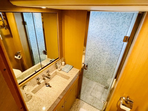 2010 PRINCESS 85