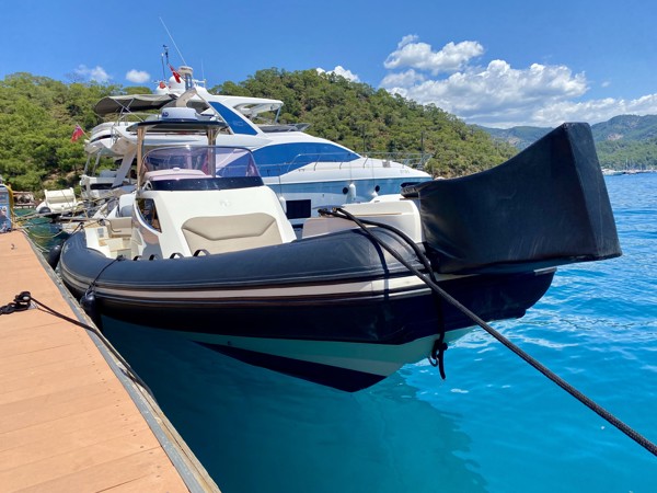 2023 CAPELLI TEMPEST 38