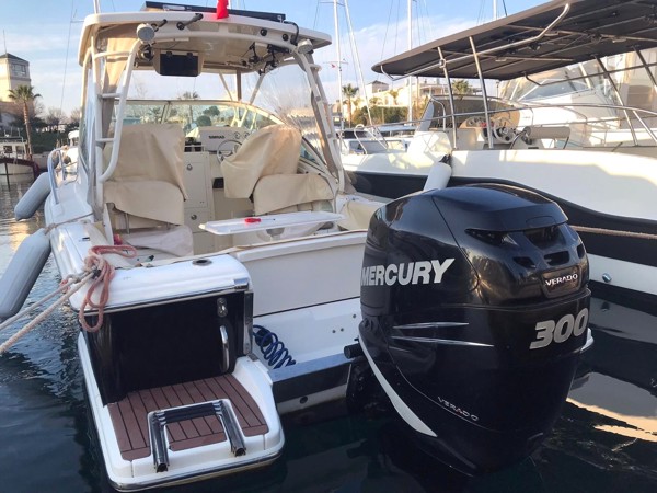 2011 SCOUT 245 ABACO