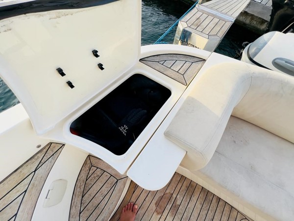 2009 SEALINE F42/5