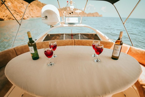1999/2022 FAIRLINE SQUADRON 55