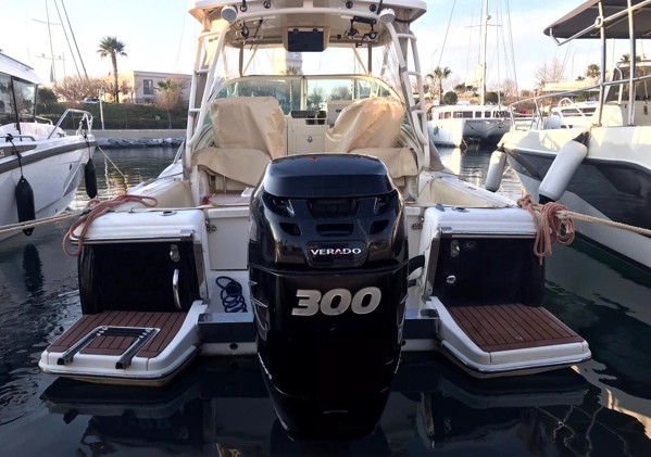 2011 SCOUT 245 ABACO