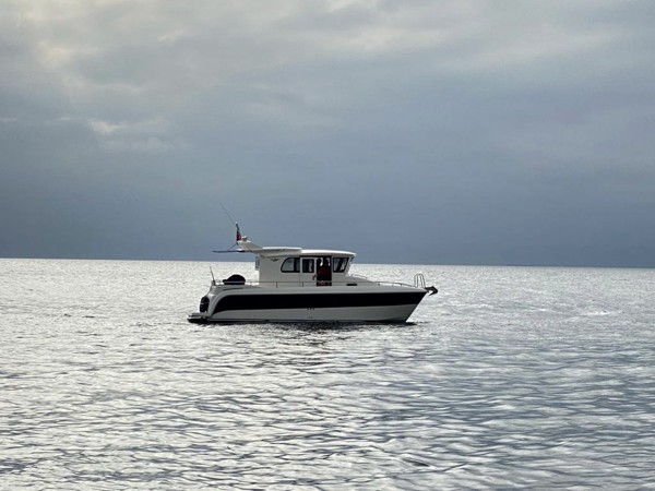2023 VIKING MARIN 285 PILOT