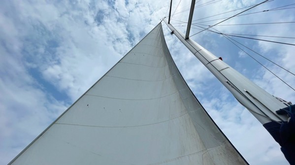2015 BAVARIA 56 CRUISER