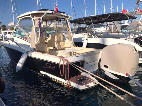 2011 SCOUT 245 ABACO