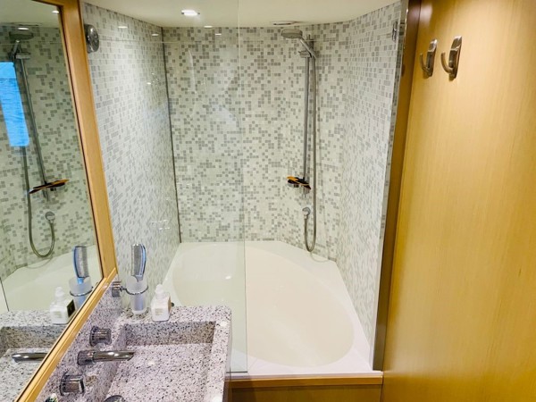 2010 PRINCESS 85
