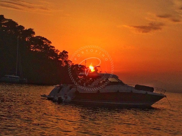 2006 SEA RAY 605 SUNDANCER