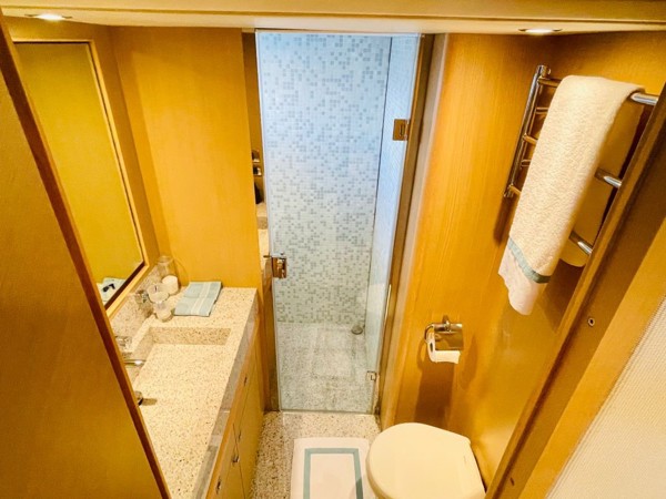2010 PRINCESS 85