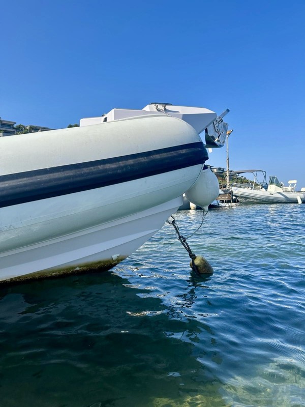 2023 SELVA 650 FAMILY S-Line