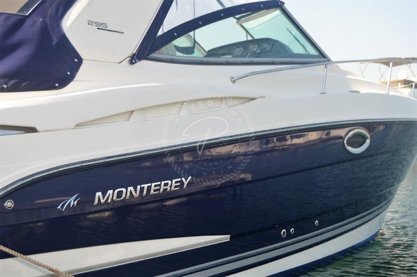 2011 MONTEREY 295 SCR